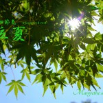 立夏(りっか)2015年二十四節気七十二候