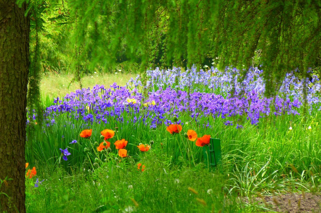 flower-meadow-140004_1280