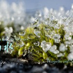 雨水(うすい) 2016年二十四節気七十二候