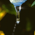 東風解凍〜はるかぜこおりをとく〜 2016年二十四節気七十二候