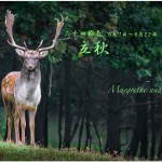 立秋（りっしゅう） 2017年二十四節気七十二候