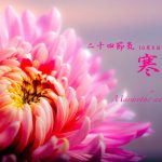 寒露（かんろ） 2016年二十四節気七十二候