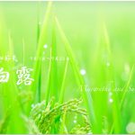 白露（はくろ） 2017年二十四節気七十二候